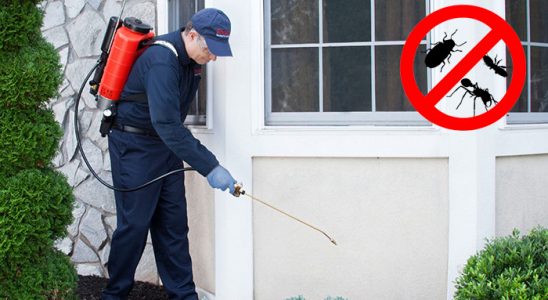 Arapgir Böcek İlaçlama böcek ilaçlama ve haşere kontrolü — ilaclama-tr.com